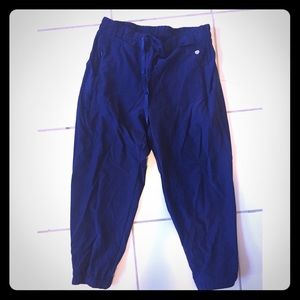 Navy Apana Athletic Pants